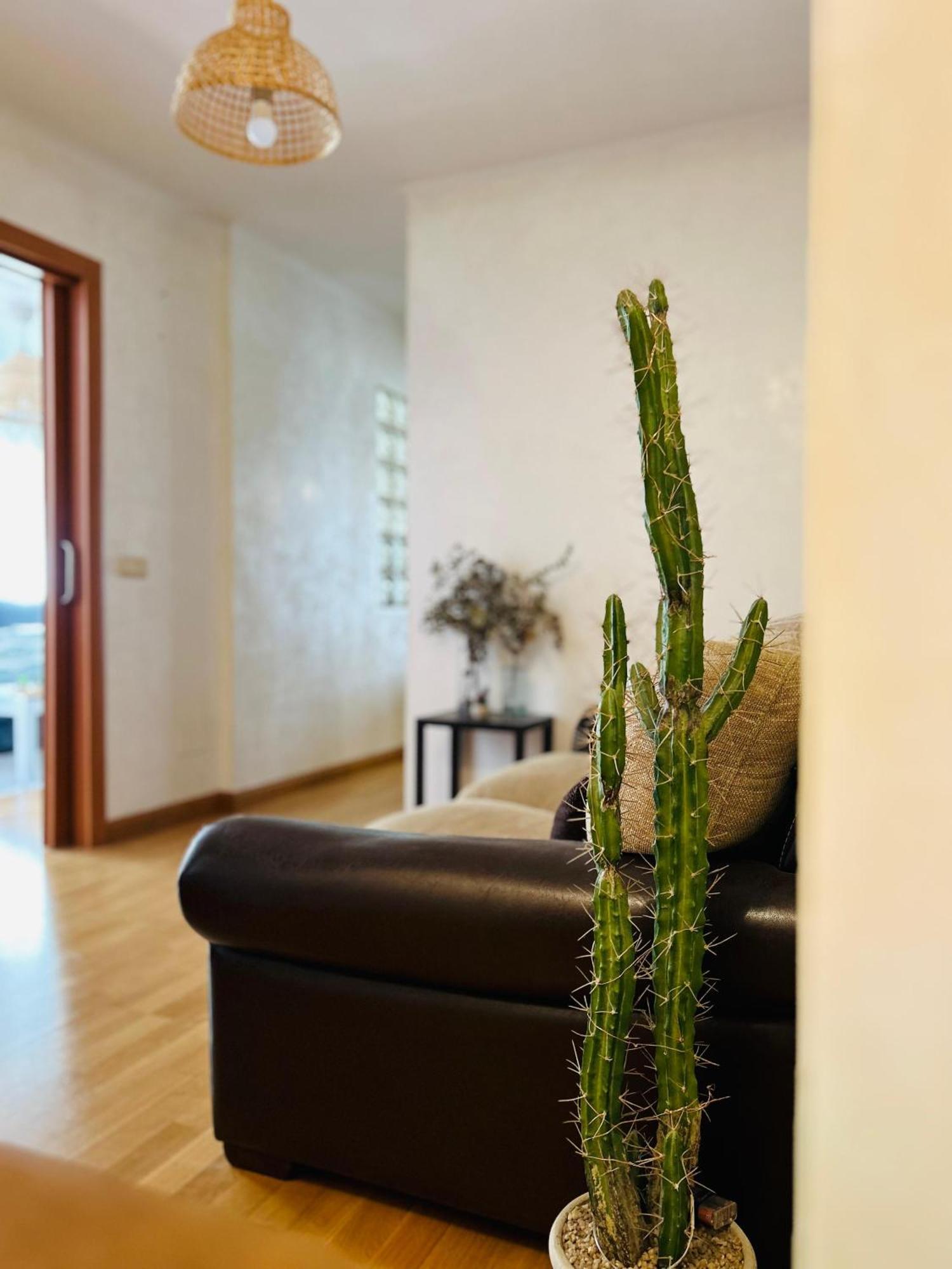 Appartement Casa Guillermo *